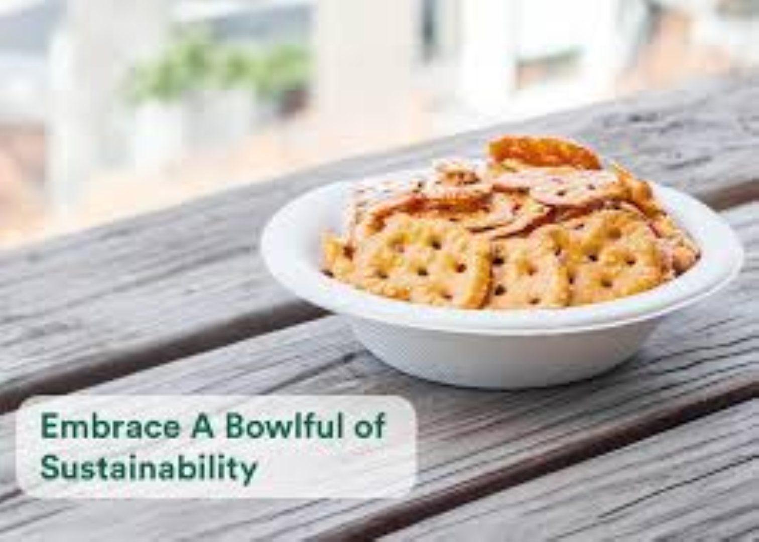 ECOSOUL BAGASSE BOWL 475ML 10PCS